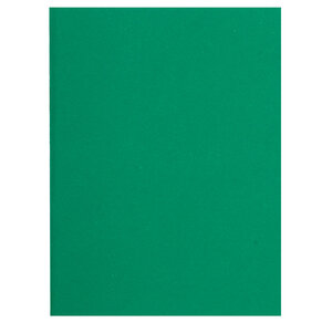 Paquet de 100 chemises Flash 220 teintes vives24 x 32 cm Vert foncé EXACOMPTA
