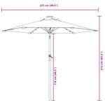 vidaXL Parasol de jardin LED et mât en acier terre cuite 225x225x212cm