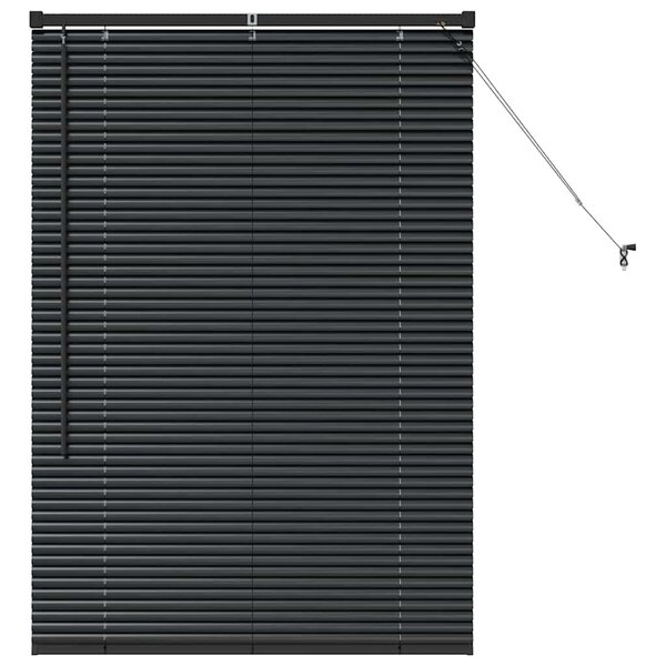 vidaXL Store de Fenêtre avec des rideaux Noir Aluminium