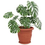 vidaXL Plateau à fleurs rond 6 Pièces Rouge brique Ø 23 5 x 2 5 cm