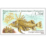 Timbre - TAAF - Poisson cacique antarctique