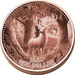 Pièce de monnaie en Cuivre 1 Dollar g 155.5 (5 oz) Millésime 2025 Native American Myth WHITE STAG