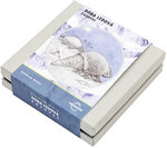 Monnaie ARMADILLO Ice Age Argent 5$ Niue 2026