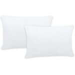 vidaXL Garnitures de coussin 2 Pièces 60x40 cm Blanc