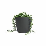 Pot de fleur SAN REMO 30 ma - Anthracite - 30 x 30 x 27 3 cm