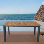 Table de jardin extensible brasilia gris aluminium 152/210 x 90 x 74 5cm