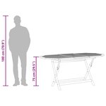 vidaXL Table pliable de jardin 160x85x75 cm Bois d'eucalyptus massif