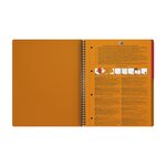 Cahier ACTIVEBOOK Ligné A4+ 160p 90g Polypro OXFORD
