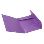 Boite De Classement Cartobox Dos 25mm Carte Lustrée - A4 - Violet - X 25 - Exacompta