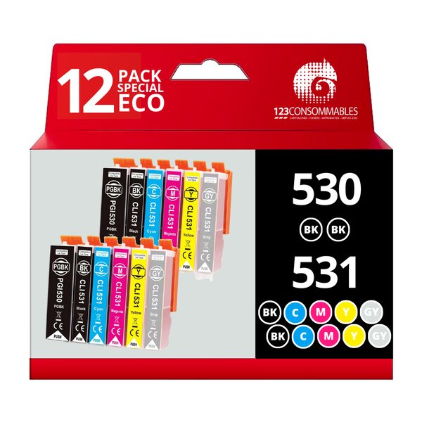 Pack compatible Canon PGI-530 CLI-531 12 cartouches