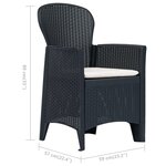 vidaXL Chaises de jardin 2 Pièces avec coussin Anthracite Plastique