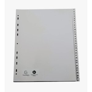 Intercalaires Imprimés Numériques Pp Recyclé Gris 31 Positions - A4 Maxi - Gris - Exacompta