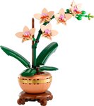 LEGO Botanicals - L'orchidée miniature - Set de construction 10343 pour adultes