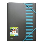 Trieur STUDENTS 12 positions en polypropylène couleur Aléatoire x 5 OXFORD