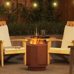 vidaXL Foyer sans fumée Marron 38 x 38 x 51 cm Acier patiné