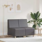 vidaXL Unité de Sofa Modulaire Sans Accoudoirs 2 Pièces Gris