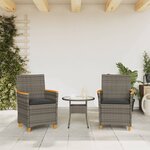 vidaXL Chaises de jardin coussins lot de 2 gris résine tressée et bois