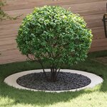 vidaXL Anneaux d'arbre plats 5 Pièces Blanc Ø90 / 120 cm Acier