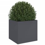 vidaXL Jardinière anthracite 49x47x46 cm acier laminé à froid