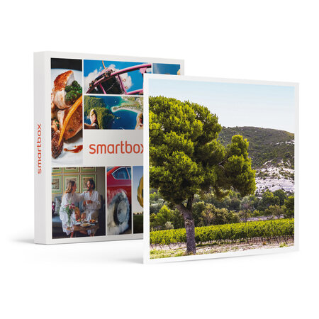 SMARTBOX - Coffret Cadeau Box œnologie : 3 bouteilles de vin rosé et 3 bouteilles de vin rouge livrées à domicile -  Gastronomie