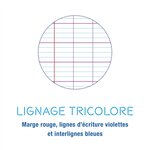 Cahier 8000 POLYPRO 170 x 220 mm 48 pages vert CALLIGRAPHE