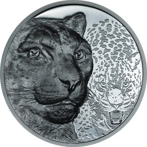 Pièce de monnaie en Argent 1000 Togrog g 62.2 (2 oz) Millésime 2024 Wild Mongolia SNOW LEOPARD (PRÉCOMMANDE)