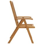 vidaXL Chaises pliables de jardin lot de 2 Bois solide d'acacia Marron
