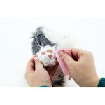 RESCUE RUNTS Le Husky a soigner