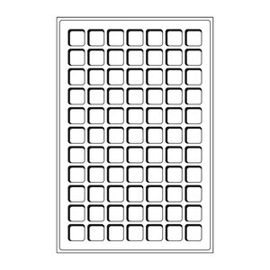 Plateaux numismatiques Leuchtturm format L à 77 cases carrées.