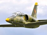 Pilote d'un jour en californie : vol de 45 minutes en jet militaire l-39 albatros - smartbox - coffret cadeau sport & aventure