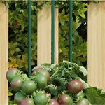 vidaXL Piquets pour plantes de jardin 30 Pièces vert 180 cm acier
