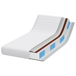 vidaXL Matelas avec Couche de Coco Blanc 100 x 200 cm Ressort ensaché