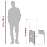 vidaXL Lot de 2 chaises de jardin inclinables avec coussins en résine tressée grise