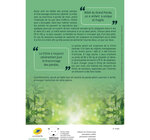 Collector 4 timbres - Ours pandas - Lettre Verte