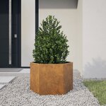 vidaXL Jardinière hexagone 69x60x45 cm acier patinable