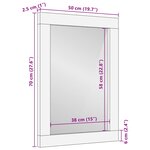 vidaXL Miroir de salle de bain 50x2 5x70 cm bois de manguier massif
