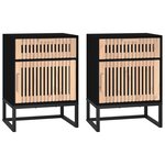 vidaXL Tables de chevet 2 Pièces noir 40x30x55 5cm bois ingénierie et fer