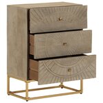 vidaXL Commode 55x30x76 cm bois massif de manguier et fer