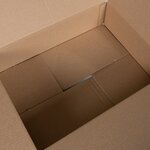 vidaXL Boîte Pliable 50 Pièces 40x30x10 cm Carton