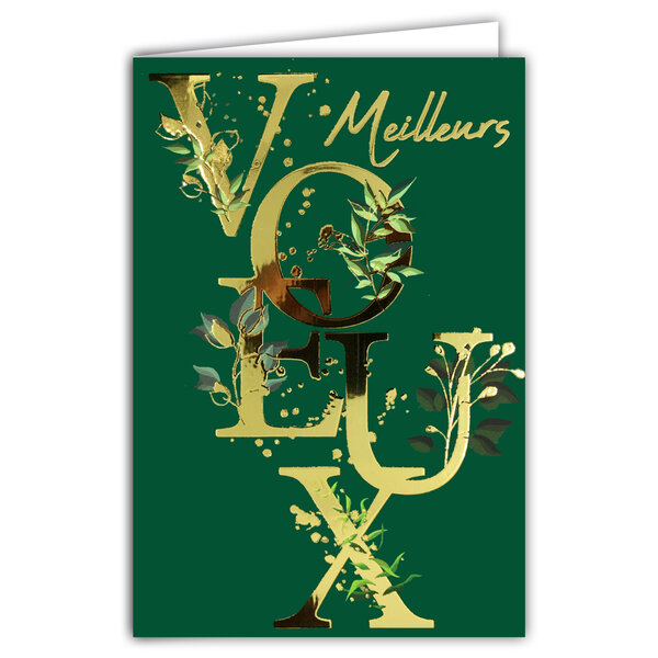 Carte Meilleurs Vœux Bonne Année + Enveloppe 12x17cm