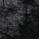 vidaXL Tapis shaggy à poils longs NAVARRA noir 160x160 cm polyester
