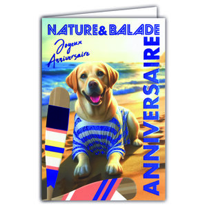 67-1270 Carte ANNIVERSAIRE Chien à la plage Texte en Bleu Brillant et Enveloppe 12x17 5cm  labrador golden retriever à la mer Animal de compagnie en marinière t-short rayé bleu et blanc rames pagayes
