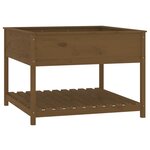 vidaXL Jardinière et étagère Marron miel 111 5x111 5x81 cm Bois de pin