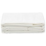 vidaXL Tapis de tente 200x500 cm Blanc