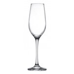 Verre à champagne 200 ml amber - lot de 12 - stalgast -  - verre x229mm