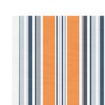 vidaXL Tissu de remplacement pour auvent rayures multicolores 5x3 5 m