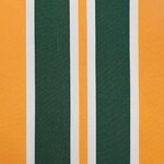 vidaXL Auvent Rétractable Vert et jaune 300 x 250 cm Tissu et Métal