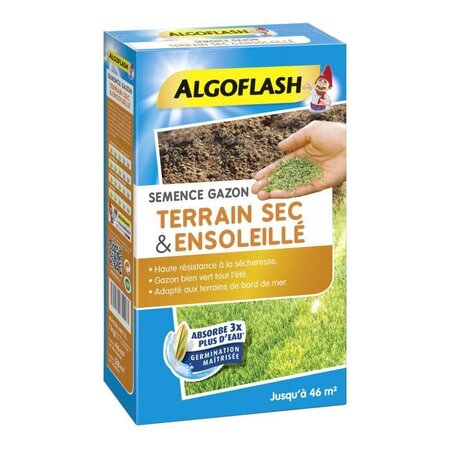 ALGOFLASH Semences gazon terrain sec et ensoleillé - 1 Kg