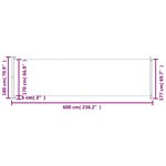 vidaXL Auvent latéral rétractable de patio 180x600 cm Noir