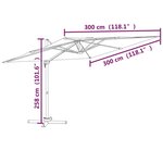 vidaXL Parasol déporté avec mât en aluminium Anthracite 300x300 cm